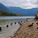 7 Lakes * 보히니