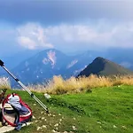 7 Lakes 보히니