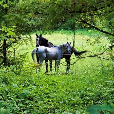 7 Lakes Apartamento *