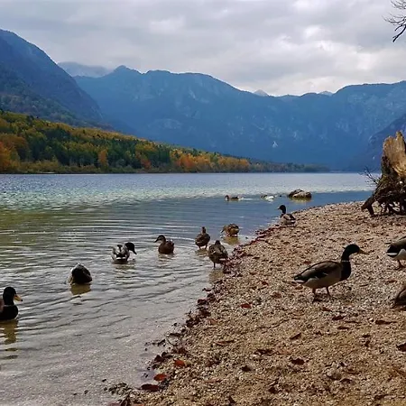 7 Lakes * Bohinj