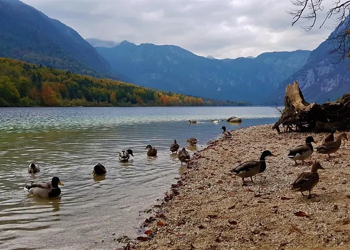 7 Lakes * Bohinj